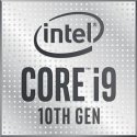Core i9-10900TE (CM8070104420306)