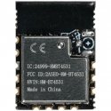 HM-BT4531