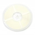 R1206 1% 10 M REEL (RC1206FR-0710ML)
