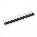 WWS 20 G