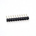 WWS 10 G