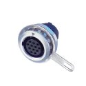 MRF