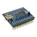 FT4232HA Mini Module