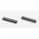 BL1X10G-ST5,5 (BL5010G)