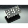 BL-T40A-31D-21 BETLUX