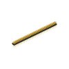 MK 202 68 G (10041266) FISCHER ELEKTRONIK