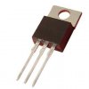 IRFP 064 N PBF INFINEON