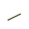 SL 11 124 25 S (10048220) FISCHER ELEKTRONIK