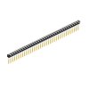 SL 18 082 36 S (10053010) FISCHER ELEKTRONIK
