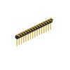 SL 18 082 16 G (10080313) FISCHER ELEKTRONIK