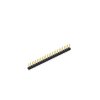 SL 1 025 25 S (10046178) FISCHER ELEKTRONIK