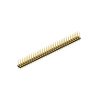MK LP 242 66 G (10043689) FISCHER ELEKTRONIK