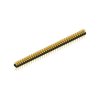 MK 202 76 G (10041274) FISCHER ELEKTRONIK