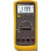 Fluke 83V/EUR (Fluke 83 V) FLUKE