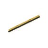 MK 04 36 G (10040074) FISCHER ELEKTRONIK