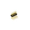 MK 251 10 G (10042828) FISCHER ELEKTRONIK