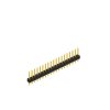 SL 11 124 19 G (10048200) FISCHER ELEKTRONIK