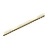MK LP 42 45 G (10044010) FISCHER ELEKTRONIK