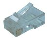 Netzwerk-Steckverbinder / RJ-Steckverbinder