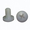 Plastic Screws