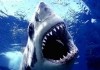 Jaws, which you don´t have to be afraid of