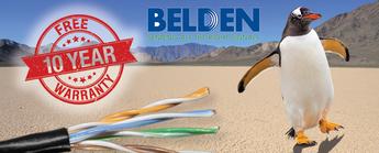 Can penguin live in desert?